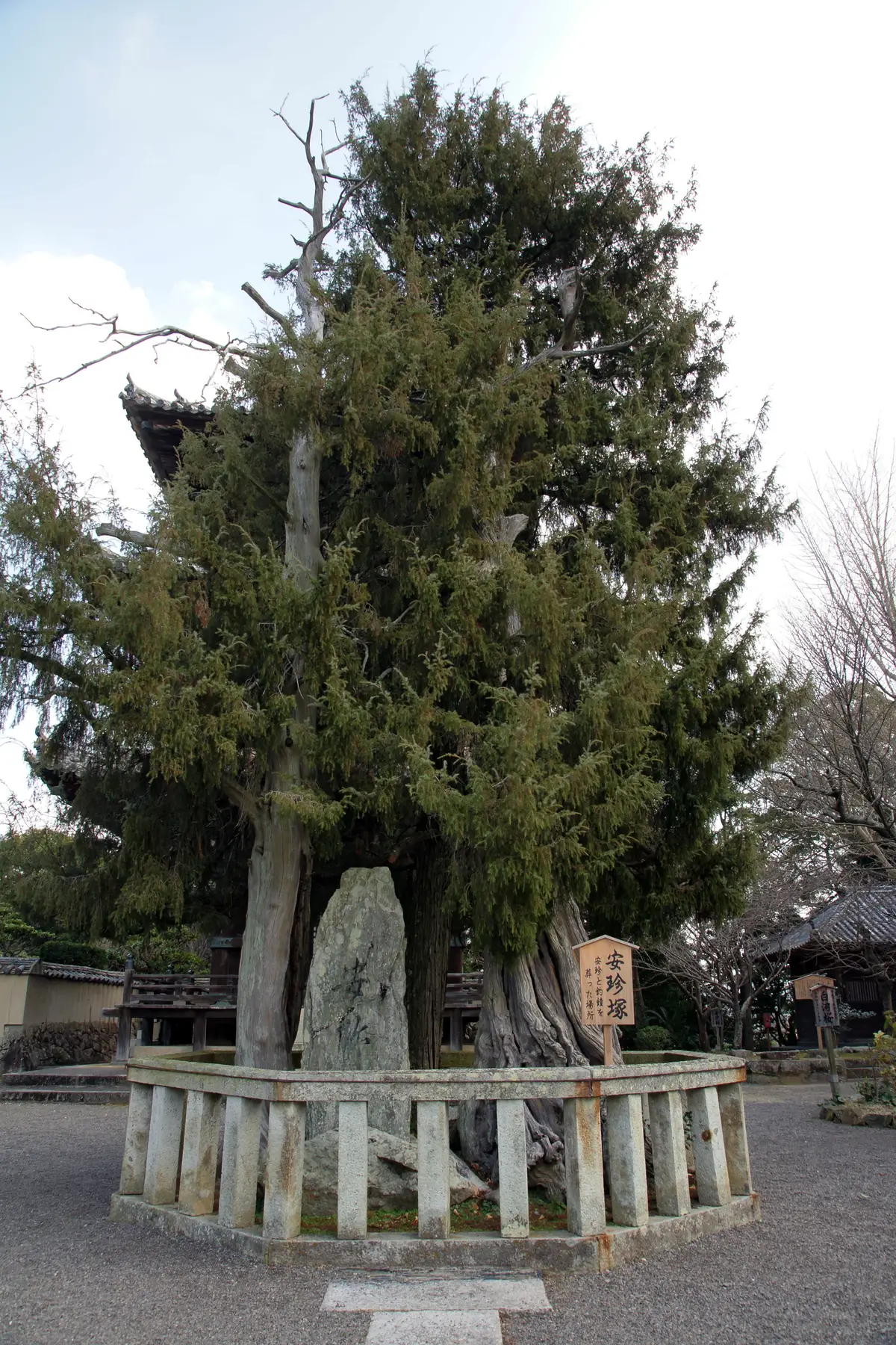 道成寺境内にある、安珍・清姫伝説にゆかりの石碑「安珍塚」