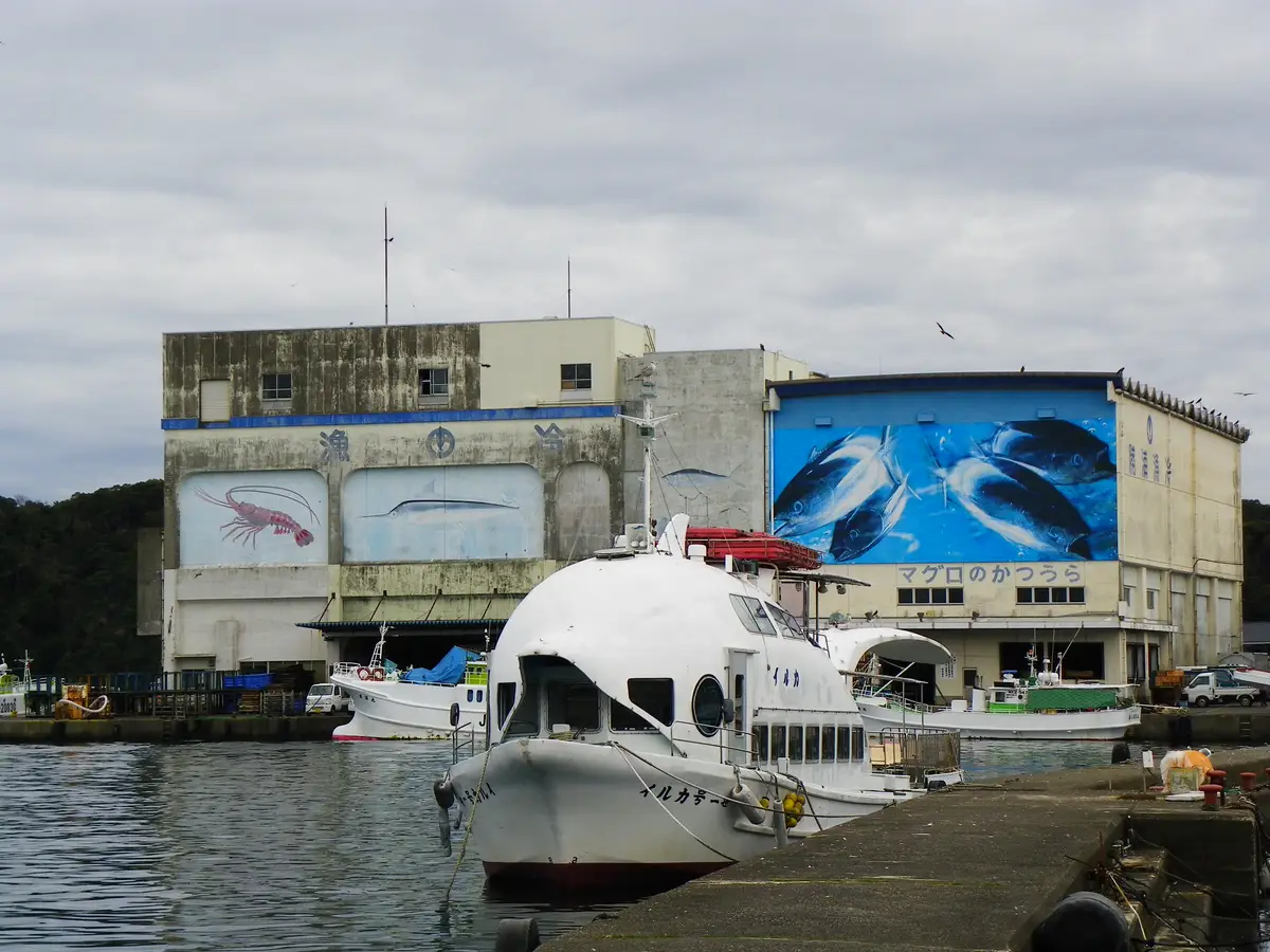 大きなマグロの壁画がある勝浦漁港の市場の建物と手前の遊覧船