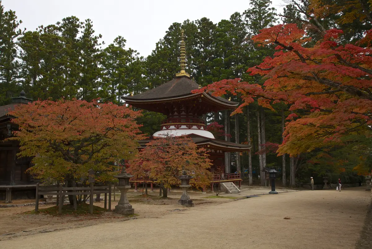 壇上伽藍の東塔を囲む赤いモミジ