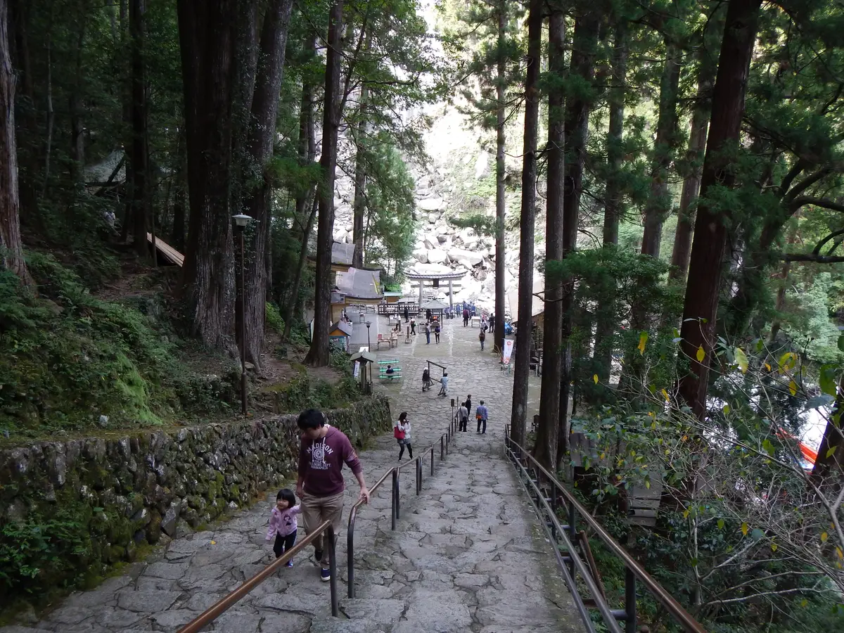 那智の滝の下にある飛瀧神社へ杉木立の中を下りる石段